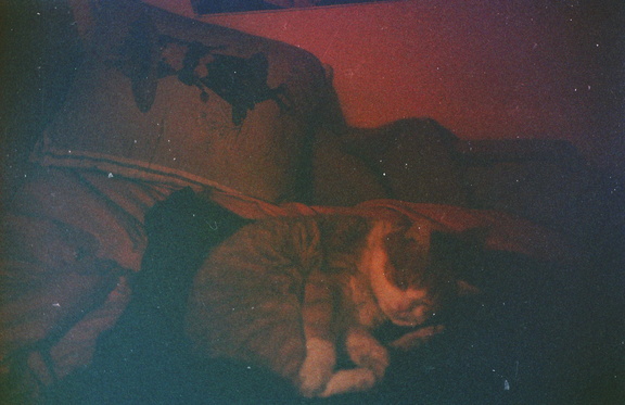 20240308192308 10 DxO