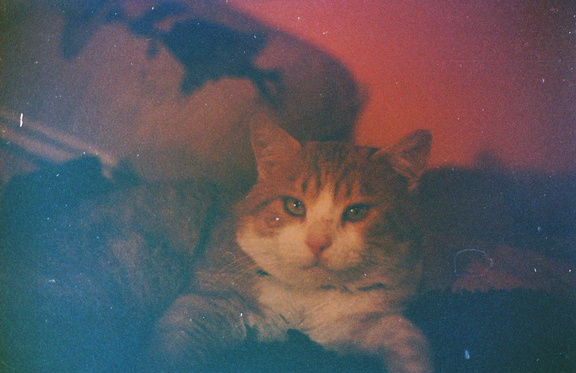 20240308192308 11 DxO