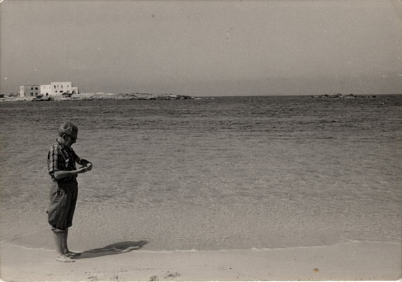 img20240914 19030028 DxO